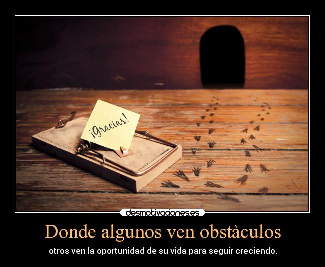 Donde algunos ven obstàculos - otros ven la oportunidad de su vida para seguir creciendo.