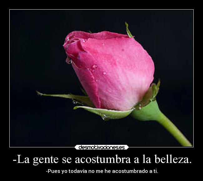 -La gente se acostumbra a la belleza. - -Pues yo todavía no me he acostumbrado a ti.