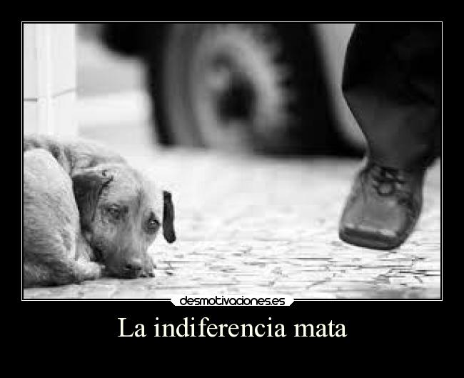 La indiferencia mata -