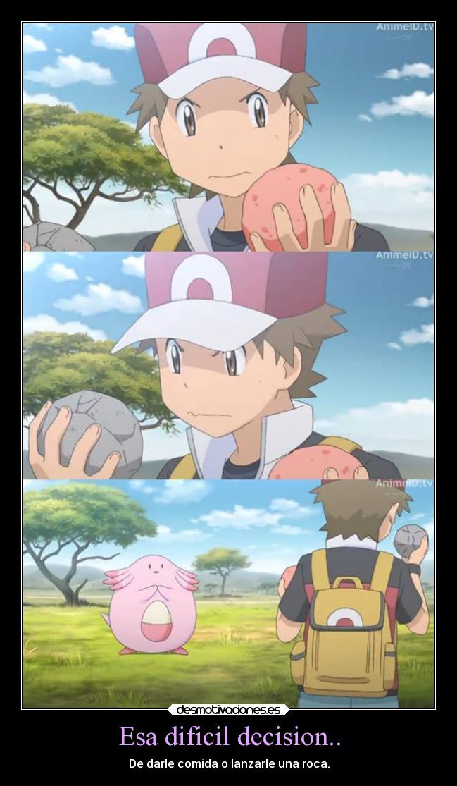 Esa dificil decision.. - De darle comida o lanzarle una roca.