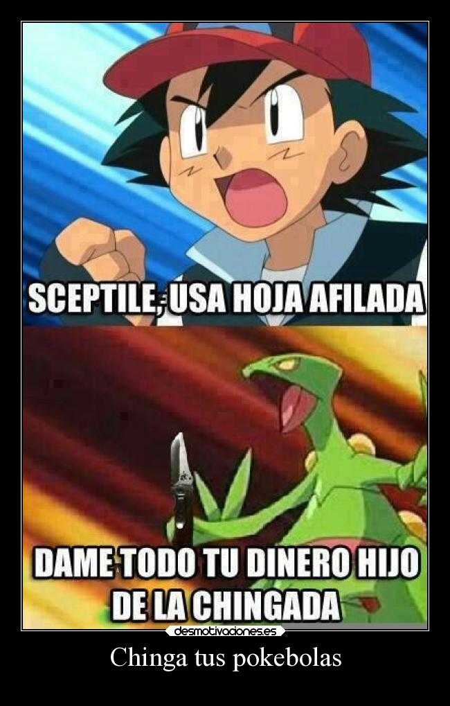 Chinga tus pokebolas - 