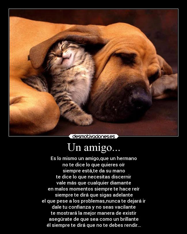 Un amigo... - Es lo mismo un amigo,que un hermano
no te dice lo que quieres oír
siempre está,te da su mano
te dice lo que necesitas discernir
vale más que cualquier diamante
en malos momentos siempre te hace reír
siempre te dirá que sigas adelante
el que pese a los problemas,nunca te dejará ir
dale tu confianza y no seas vacilante
te mostrará la mejor manera de existir
asegúrate de que sea como un brillante
él siempre te dirá que no te debes rendir...