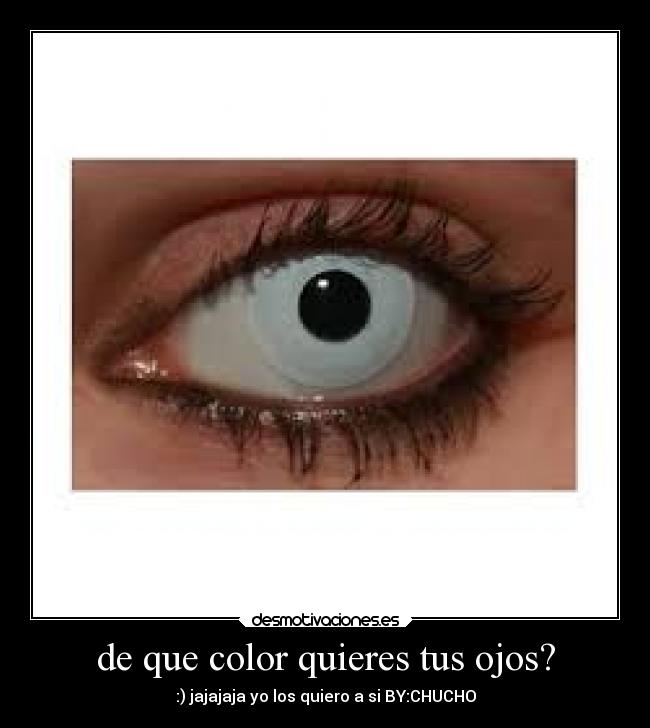 carteles recuerdos desmotivaciones