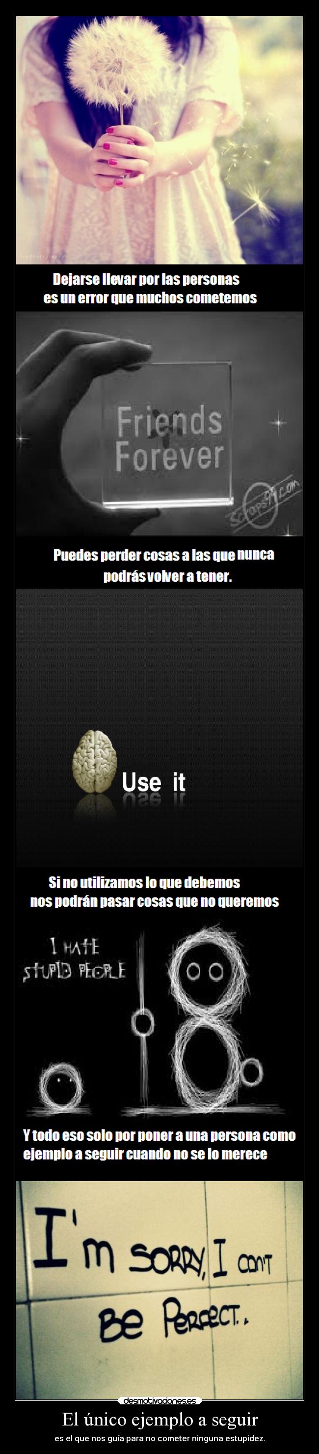 El único ejemplo a seguir - es el que nos guía para no cometer ninguna estupidez.