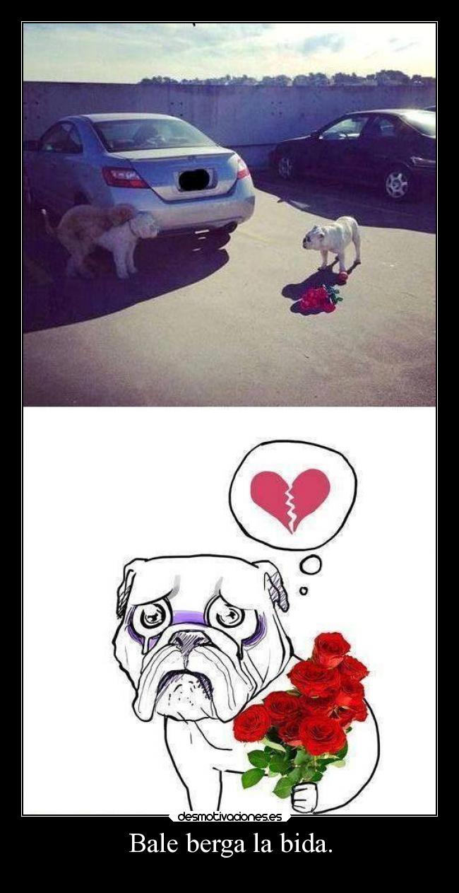 Bale berga la bida. -