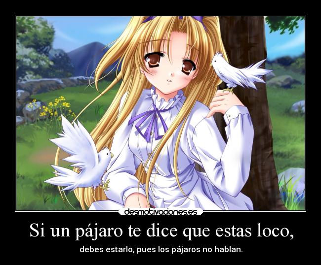 Si un pájaro te dice que estas loco, - debes estarlo, pues los pájaros no hablan.