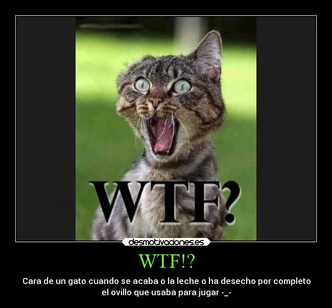 WTF!? - Cara de un gato cuando se acaba o la leche o ha desecho por completo
el ovillo que usaba para jugar -_-