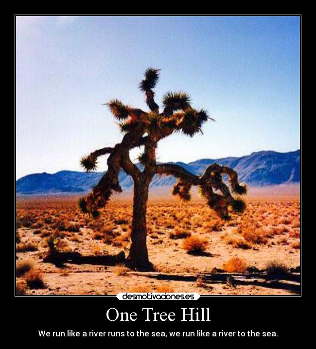 One Tree Hill - 