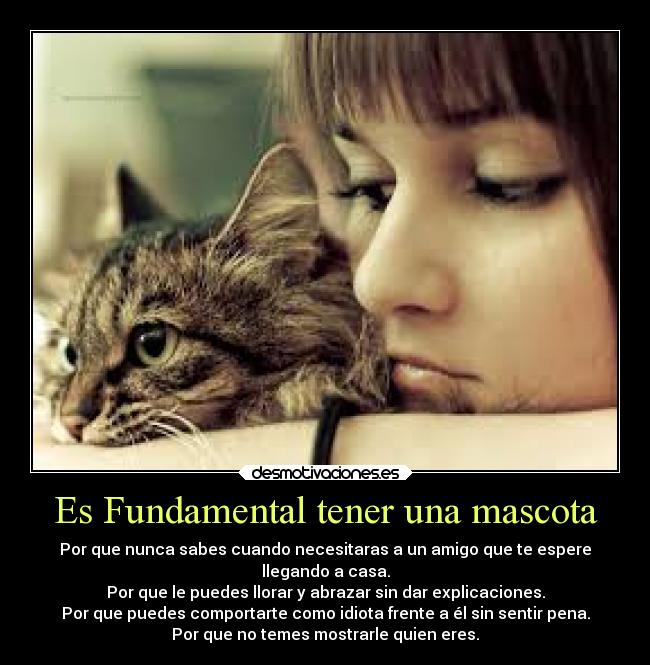 Es Fundamental tener una mascota -