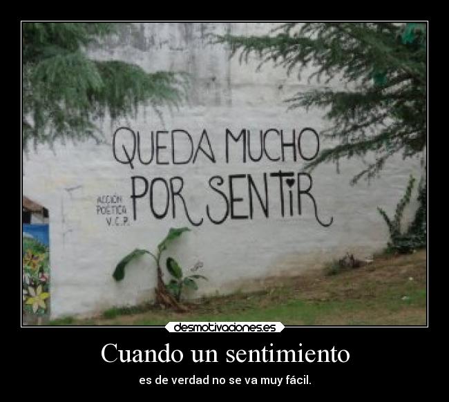 Cuando un sentimiento - es de verdad no se va muy fácil.