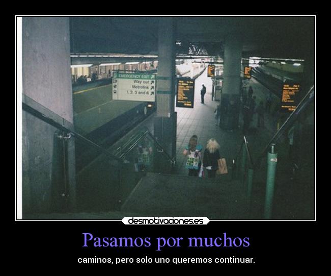 Pasamos por muchos - caminos, pero solo uno queremos continuar.