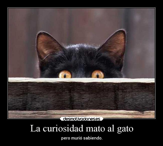 La curiosidad mato al gato - pero murió sabiendo.