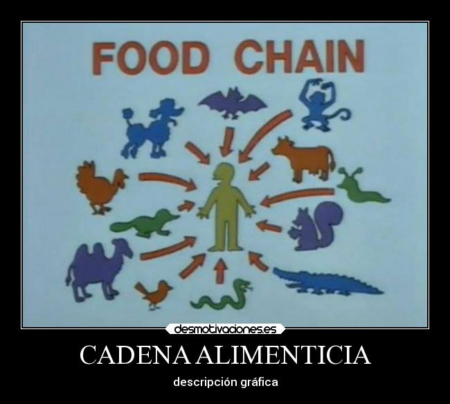 carteles simpsons cadena alimenticia descripcion grafica desmotivaciones