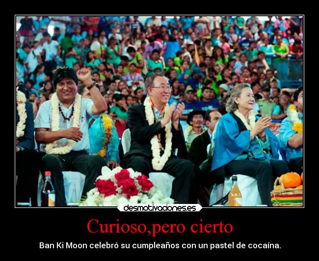 carteles sociedad fail criticas politica mundo fiesta bolivia drogas cumpleanos desmotivaciones