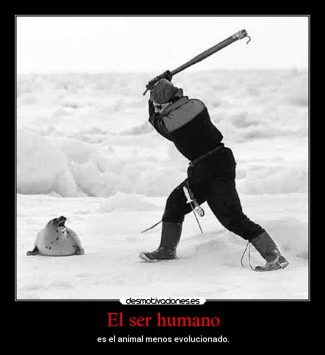 carteles sociedad maltrato animal humano evolucion todos desmotivaciones