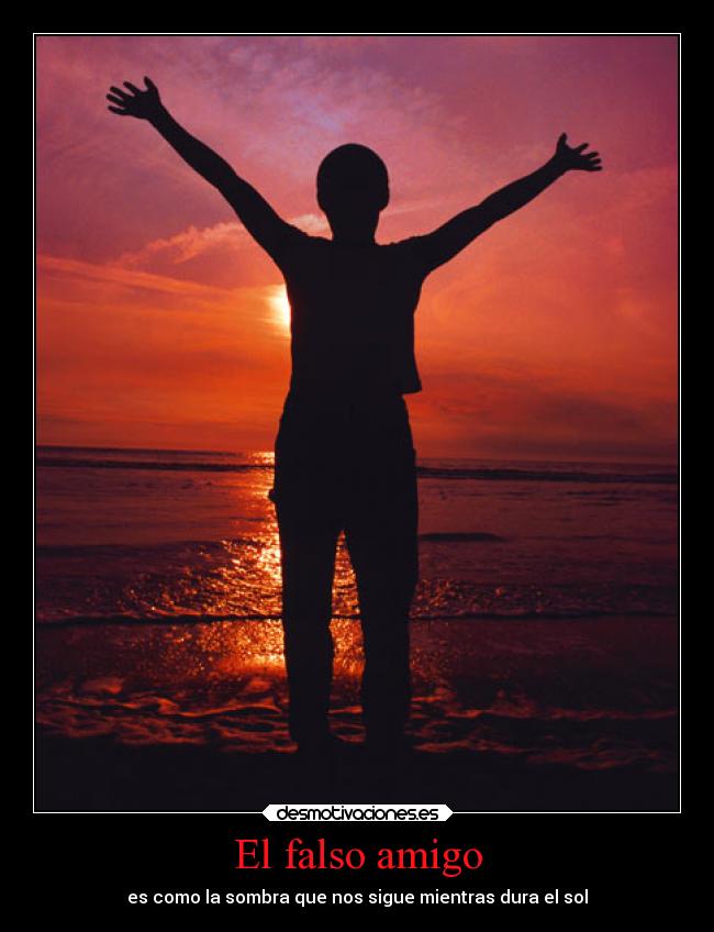 El falso amigo - es como la sombra que nos sigue mientras dura el sol