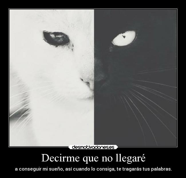 Decirme que no llegaré -