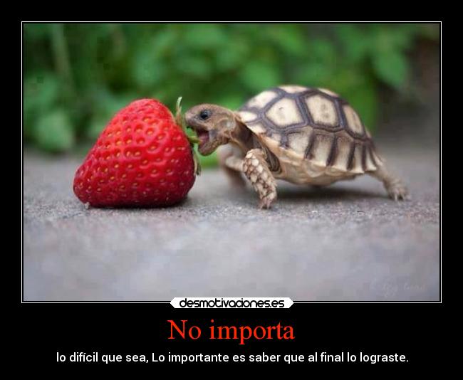 No importa - lo difícil que sea, Lo importante es saber que al final lo lograste.