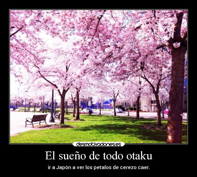 carteles suenos otaku petalos cerezo japon desmotivaciones