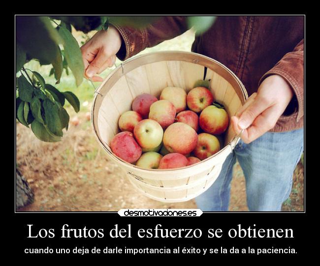 Los frutos del esfuerzo se obtienen -
