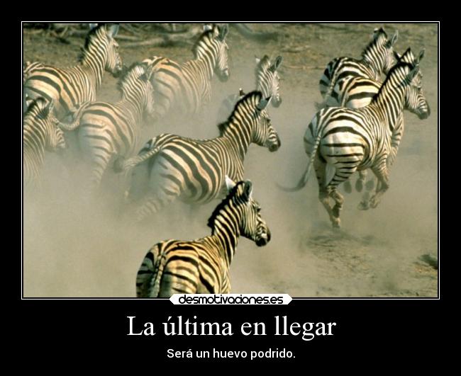 La última en llegar -