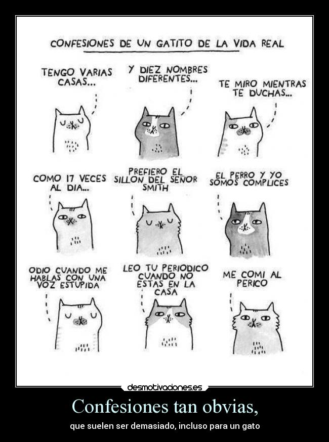 Confesiones tan obvias, -