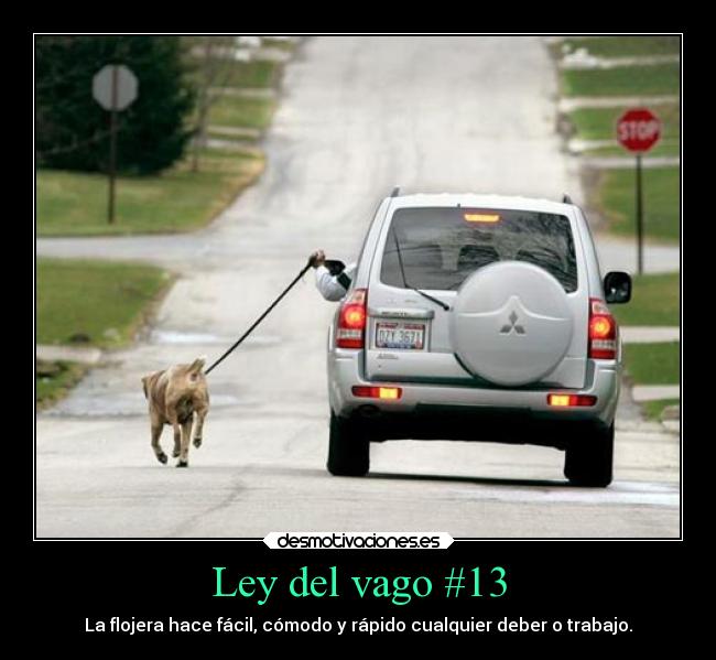 carteles trabajo animales humor frases chiste carro ley del vago numero trece facil comodo rapido deber desmotivaciones