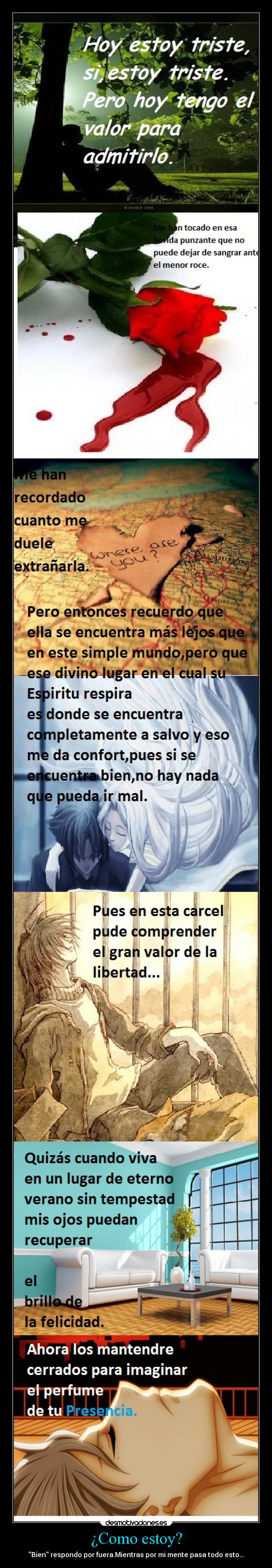 ¿Como estoy? - Bien respondo por fuera.Mientras por mi mente pasa todo esto...