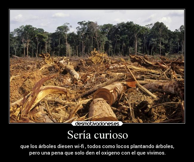 carteles tristeza vida deforestacion arboles wifi ironia desmotivaciones
