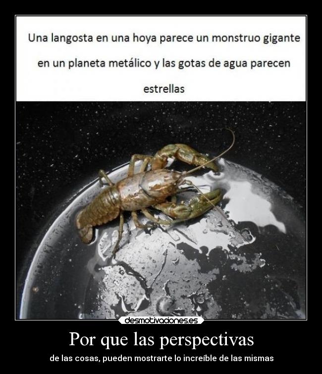 Por que las perspectivas -