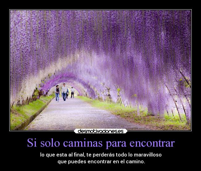 Si solo caminas para encontrar - lo que esta al final, te perderás todo lo maravilloso
que puedes encontrar en el camino.