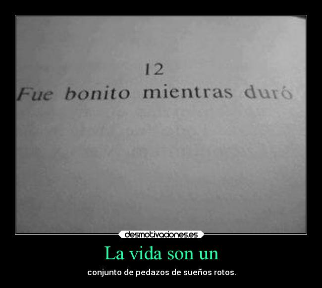 La vida son un - 