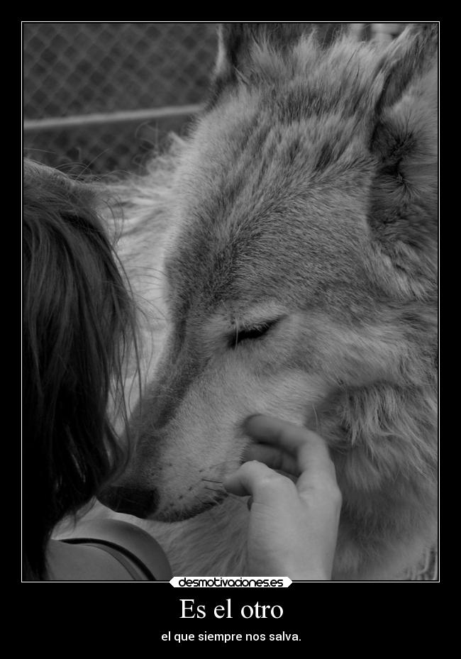 carteles vida amm ernesto sabato kereska desmotivaciones