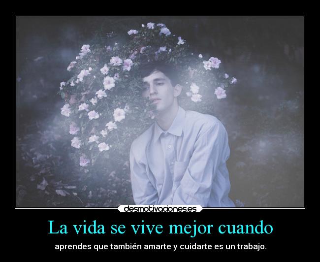 La vida se vive mejor cuando - 