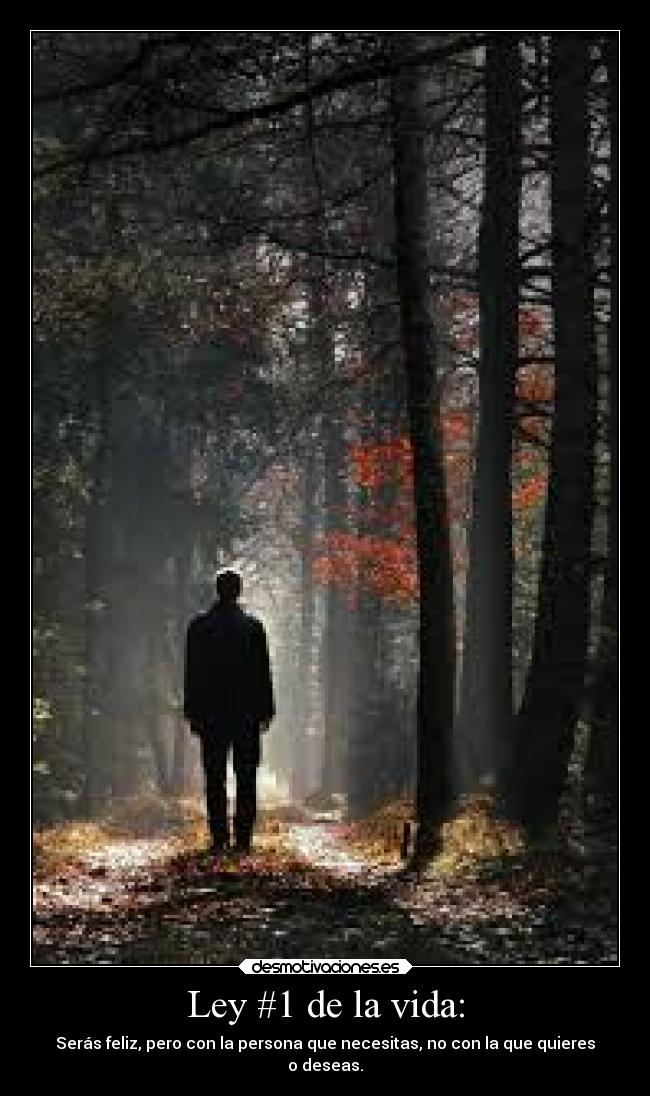 Ley #1 de la vida: - Serás feliz, pero con la persona que necesitas, no con la que quieres
o deseas.