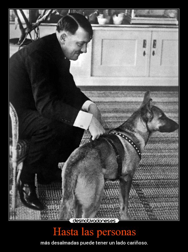 carteles vida animales hitler todo avcparkour desmotivaciones