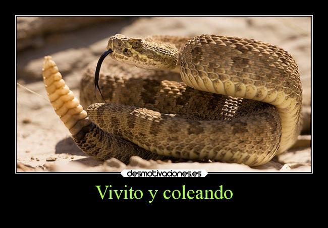 Vivito y coleando -