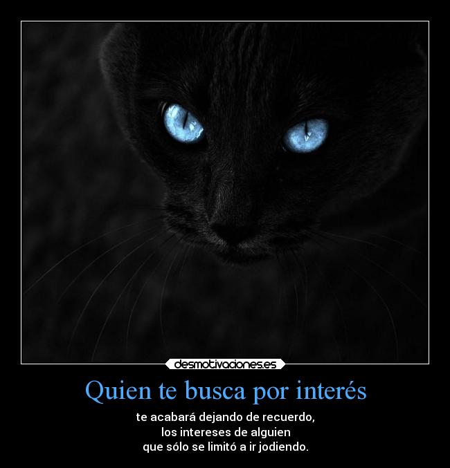 Quien te busca por interés - 