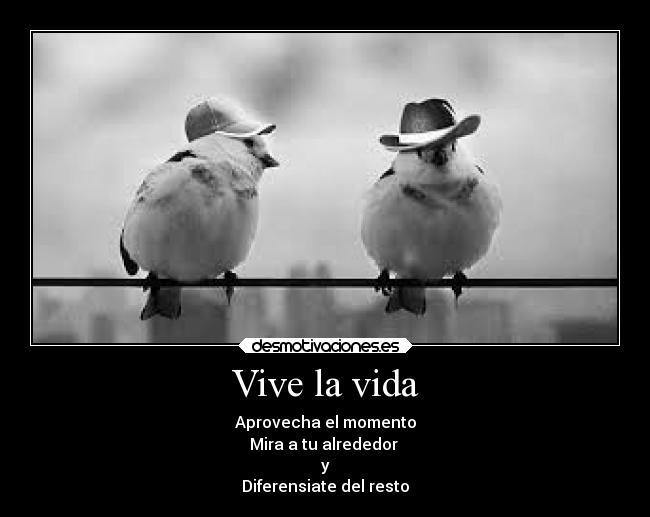 carteles vida vida desmotivaciones