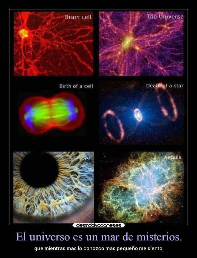 carteles vida desmotivaciones