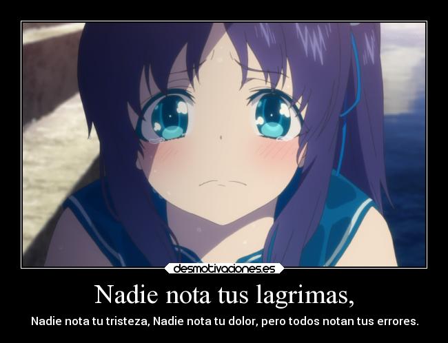 Nadie nota tus lagrimas, -