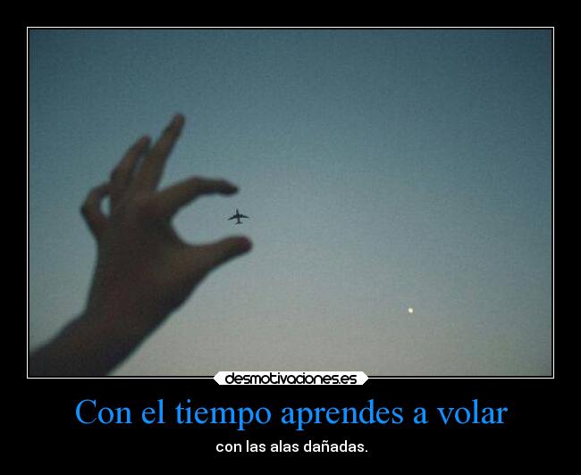 Con el tiempo aprendes a volar - con las alas dañadas.