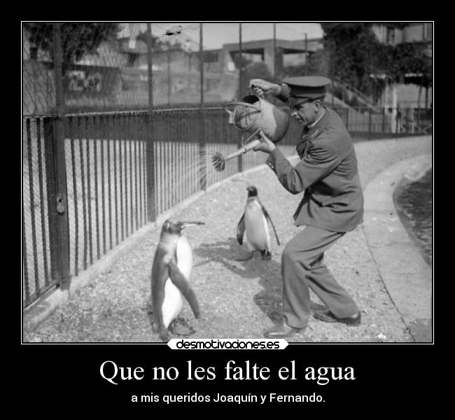 Que no les falte el agua - a mis queridos Joaquín y Fernando.