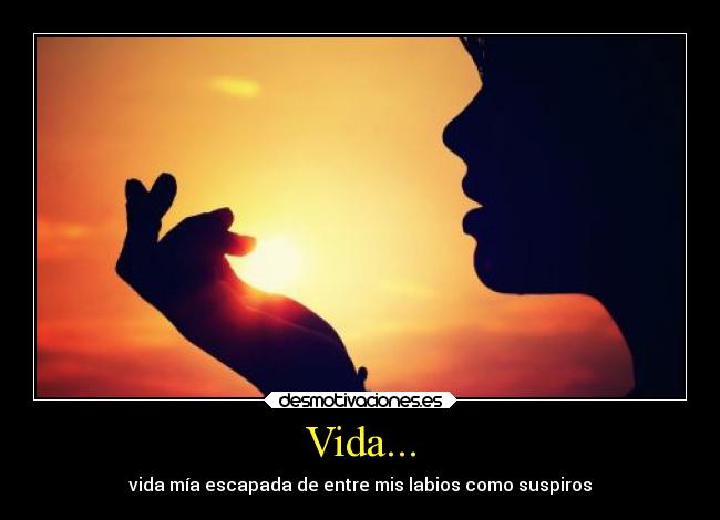 Vida... - vida mía escapada de entre mis labios como suspiros