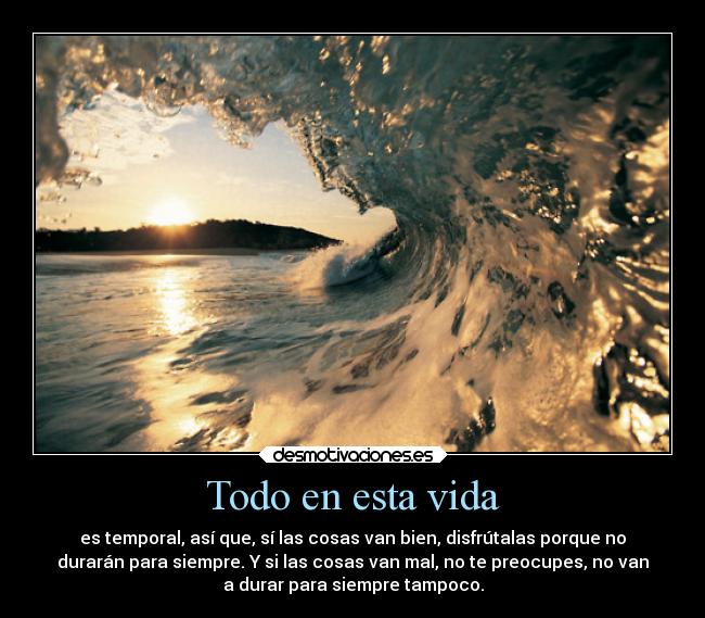 carteles vida vida desmotivaciones