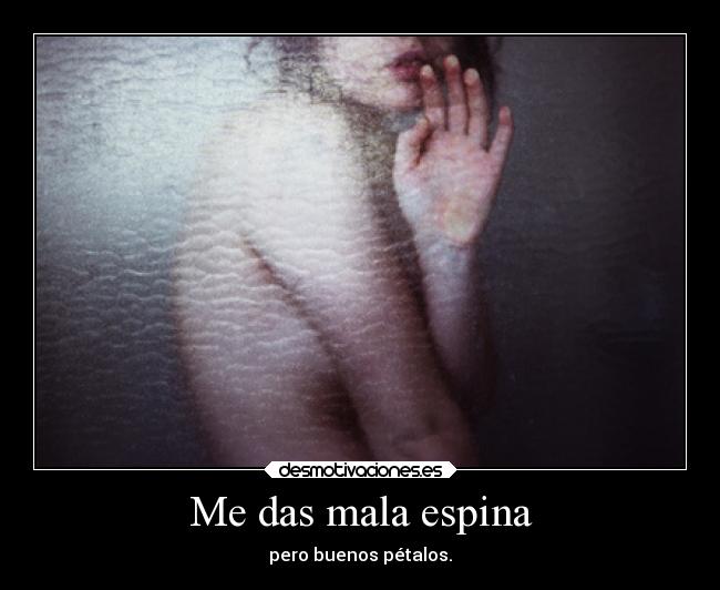 Me das mala espina - pero buenos pétalos.