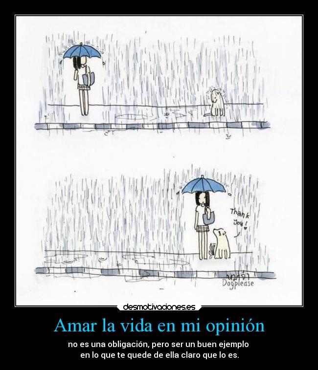 Amar la vida en mi opinión - 