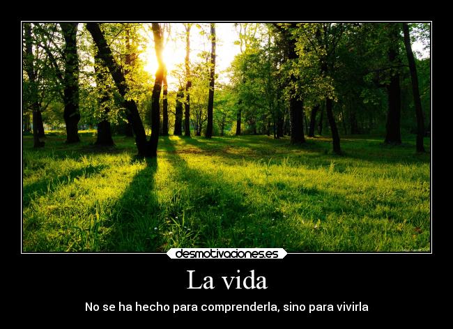 La vida -