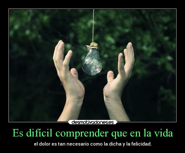 Es difícil comprender que en la vida -