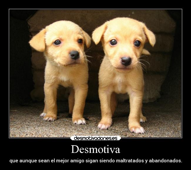 carteles vida desmotivaciones desmotivaciones